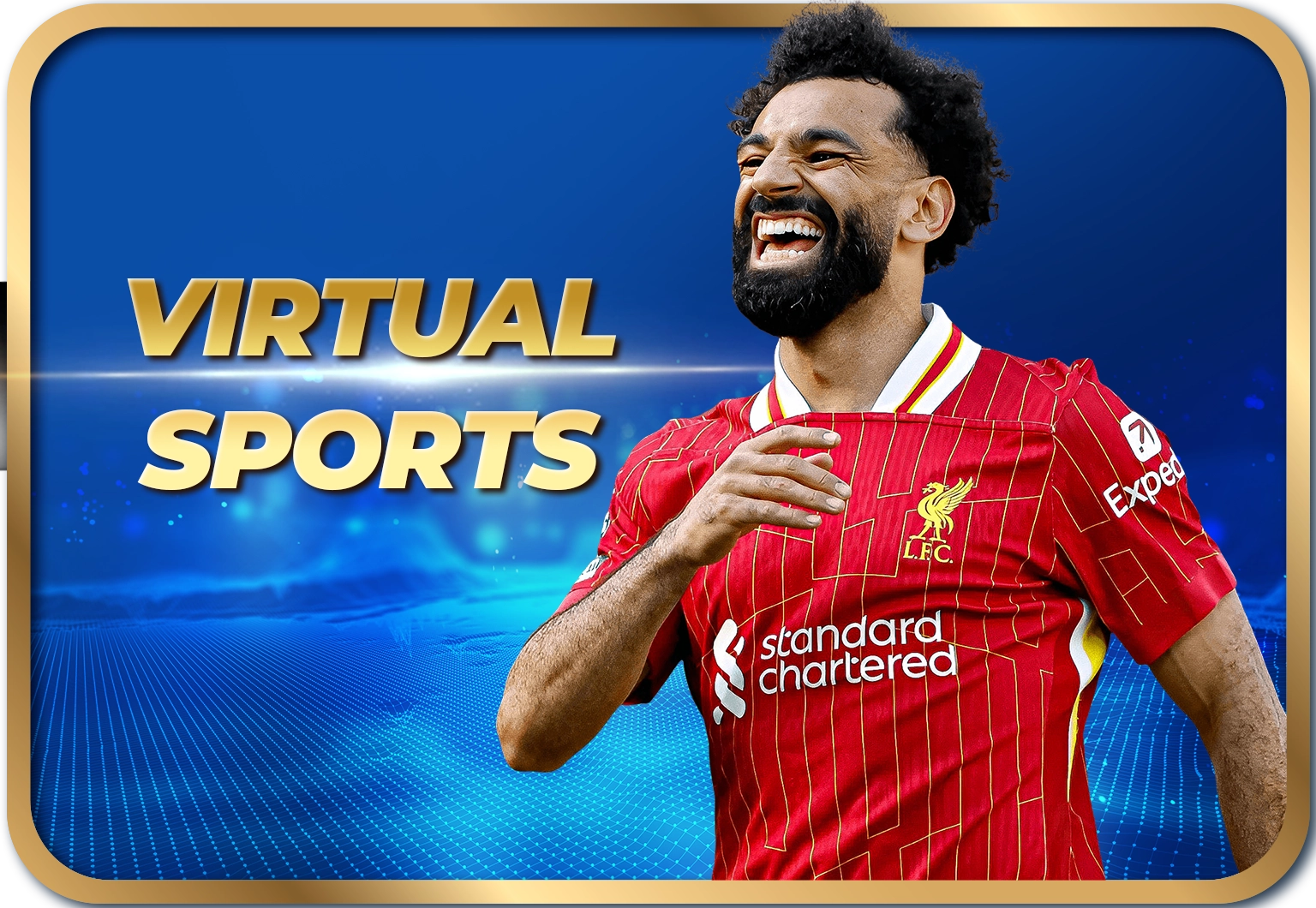 banner VIRTUAL sports