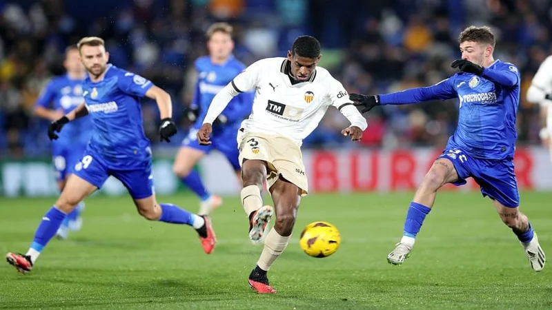 resized image new 2 5